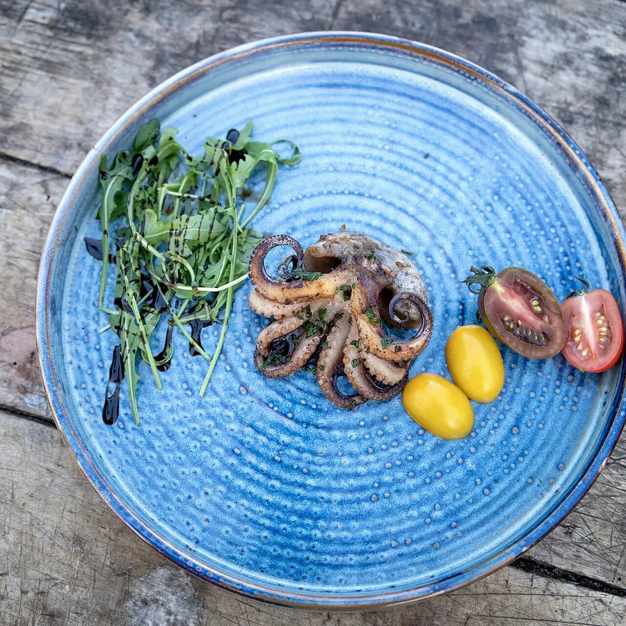 Octopus