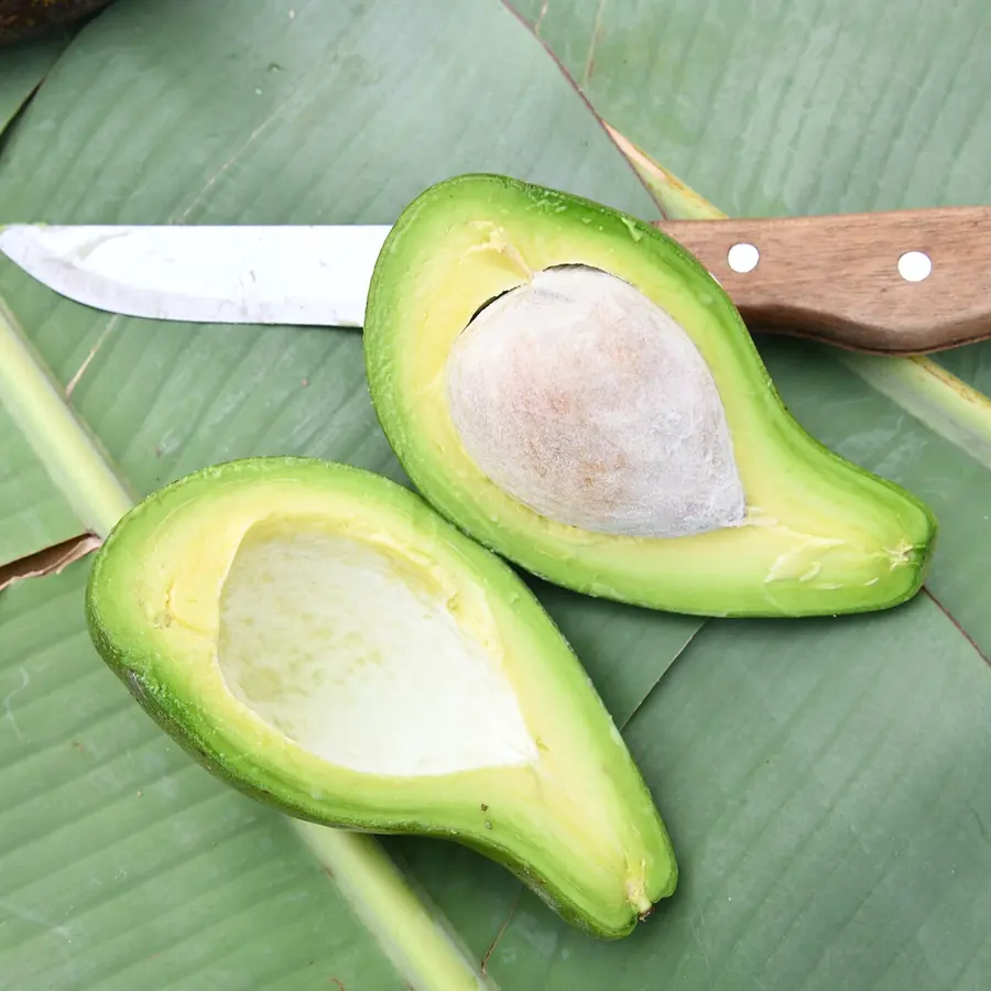 Half Avocado